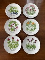 6 Teller botanische Illustrationen Flora Helvetia guter Z...