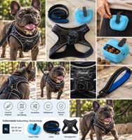 Hundegeschirr, Hundeleine + Snack Halter / Gassi Set