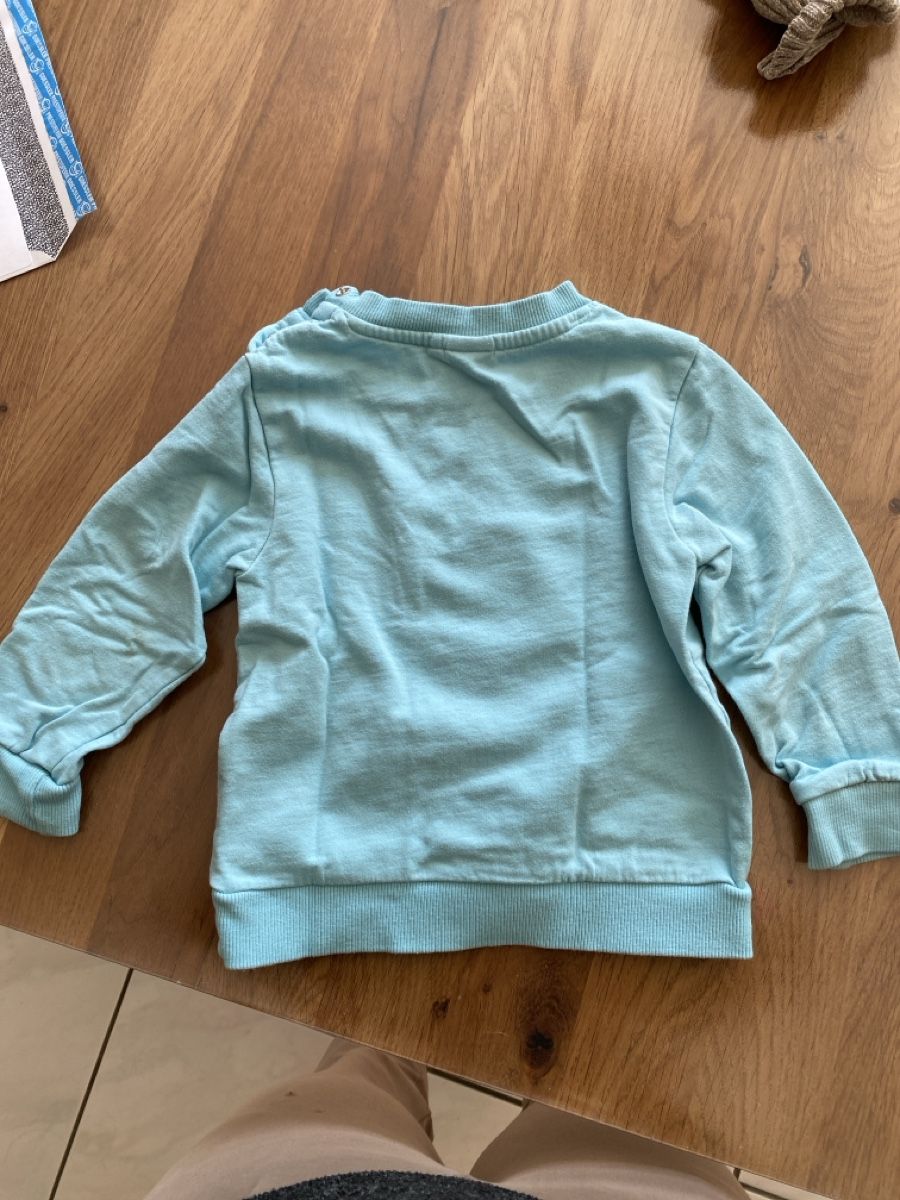 Maglioni & Felpe: Pullover Smile hellblau Baumwolle Grösse 86 gebraucht – Usato da Welschenrohr venduto da all_5gs8 1