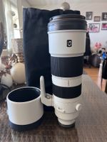 Sony FE 200-600mm F5.6-6.3 G guten Zustand