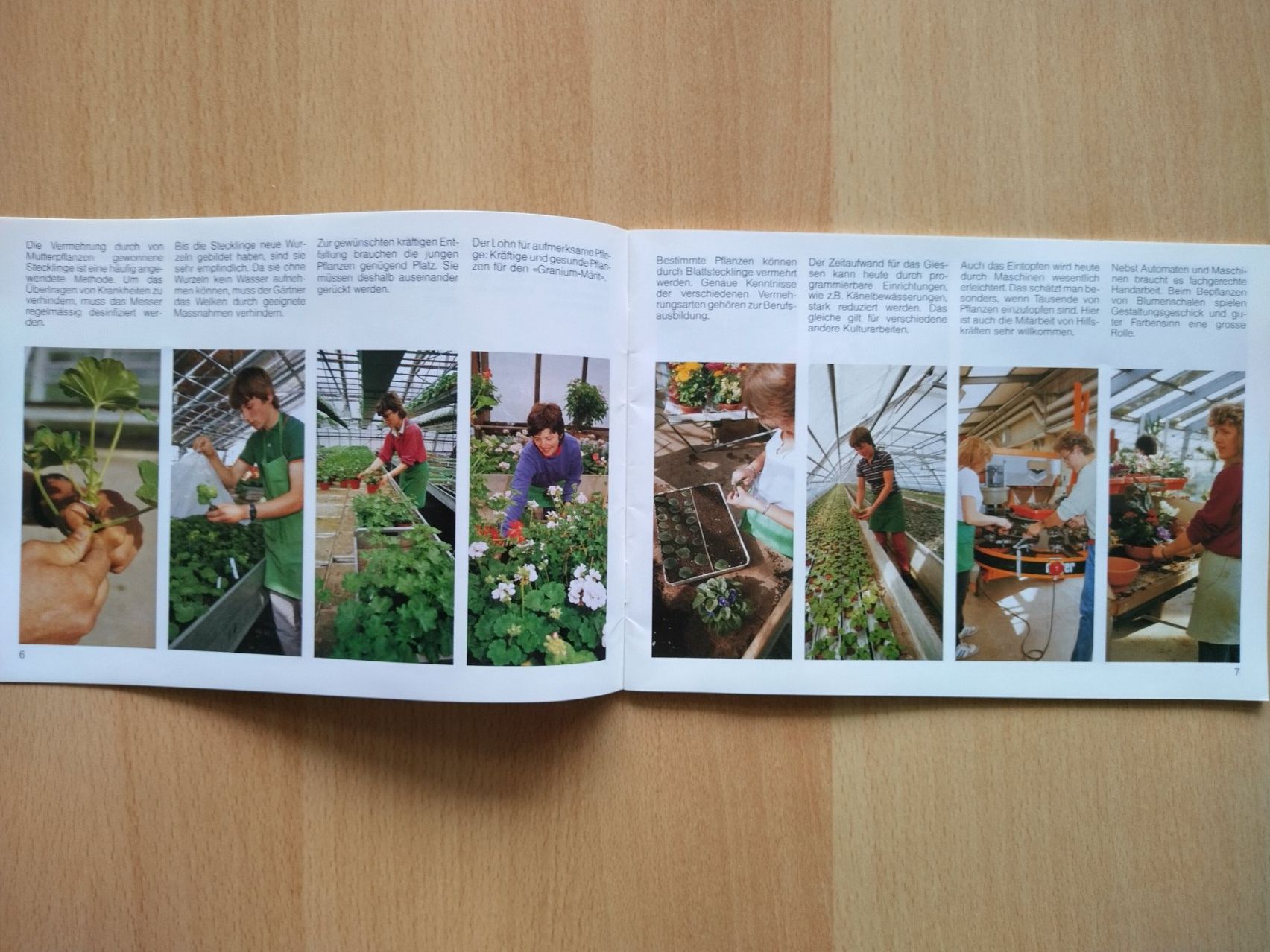 Libri: Gärtner - ein Begriff - vier Berufe (1988) – Usato da Jona venduto da Argus36 4