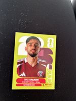 Panini QAT 8