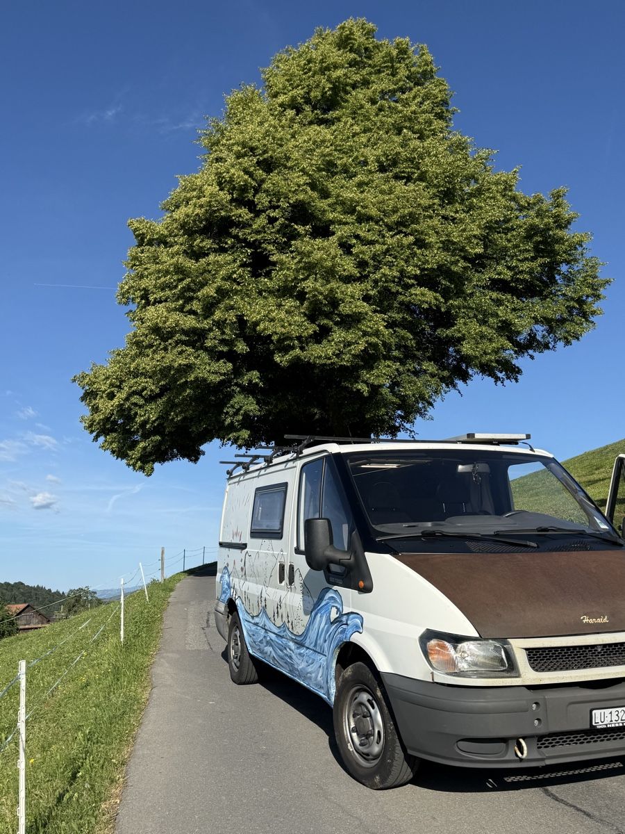 Ford Veicoli da campeggio: Büssli Ford Transit – Usato da Udligenswil venduto da Tizfae 8