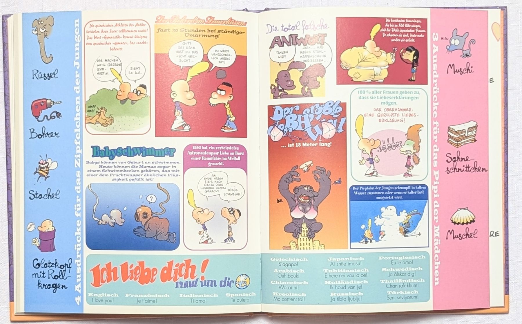 BD: Titeuf - Das große Piephahn-Lexikon - 2001 Ausgabe – D'occasion à Wängi par ABIZONE-86 3