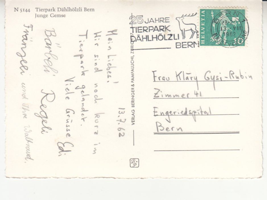 Cartoline postali: Bern Dählhölzli Gemse 1962 – Usato da Bürglen TG venduto da StampGraf 1