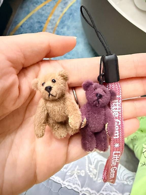 Jouets: Mini ours Little gem  – Neuf avec emballage d'origine à Kerzers par hel_v8pr