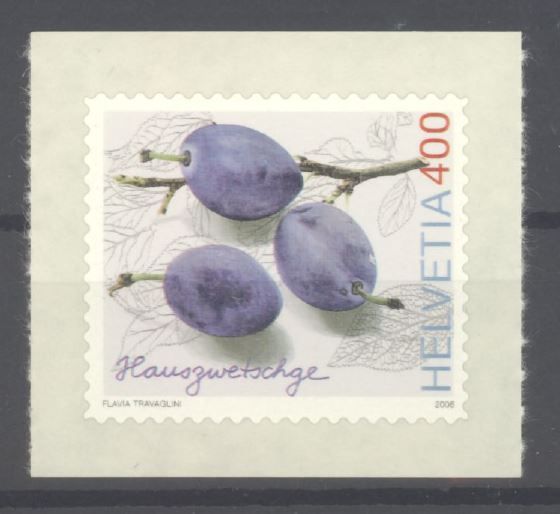 Tutti i francobolli: 2006, Dauermarke Alte Obstsorte ** – Usato da Willisau venduto da Vollstempel