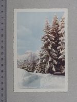 Engelberg, Winteridyll, Tanne, Photohaus E. Magerstädt