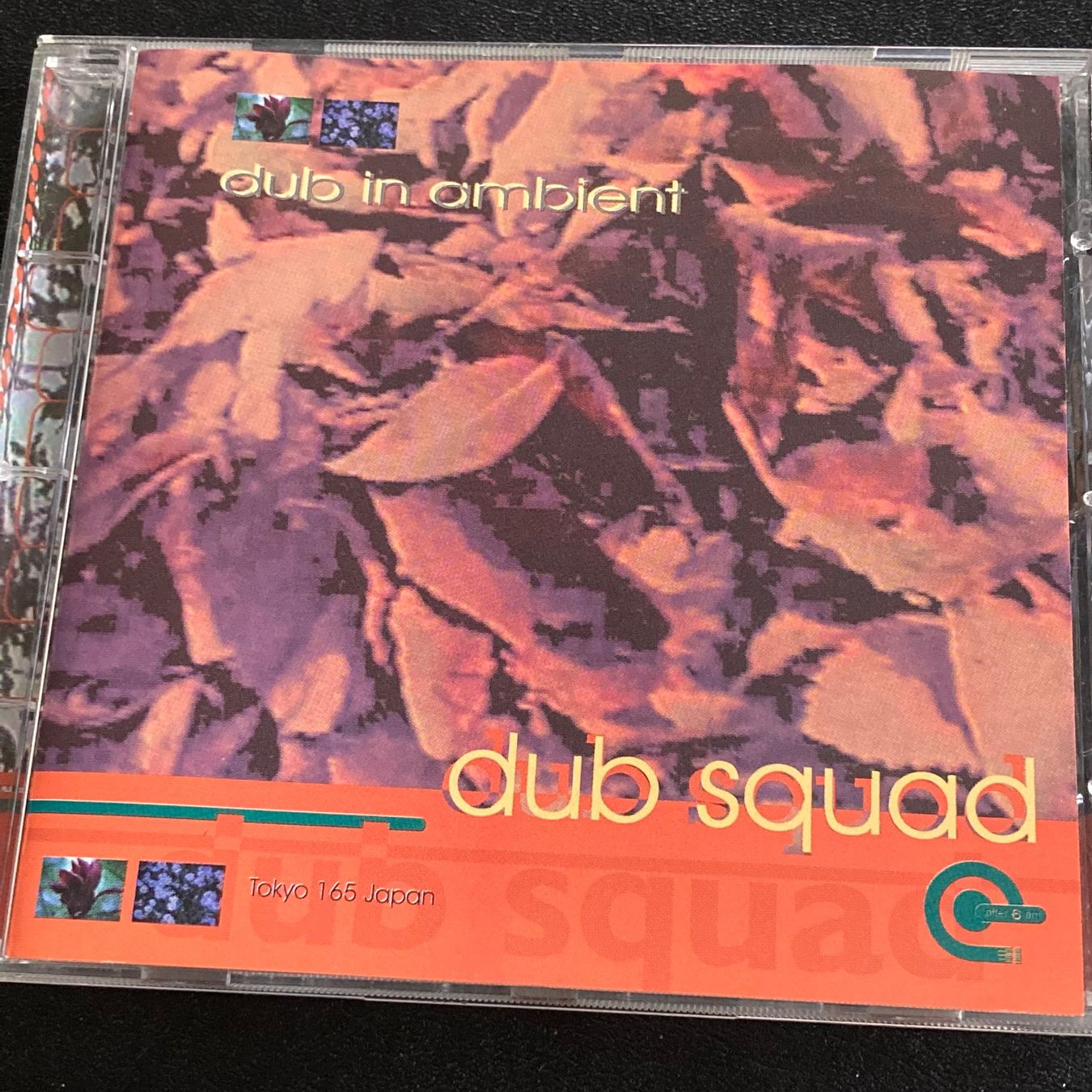 CD: Dub Squad - Dub In Ambient | Downtempo – Usato da Bern venduto da Ntsamina