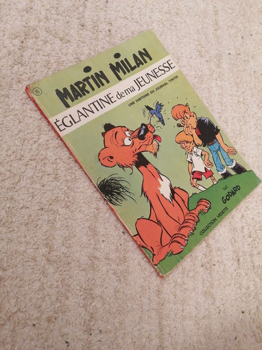 Fumetti: Martin Milan - Églantine de ma jeunesse EO – Usato da Bougy-Villars venduto da Vogue 2