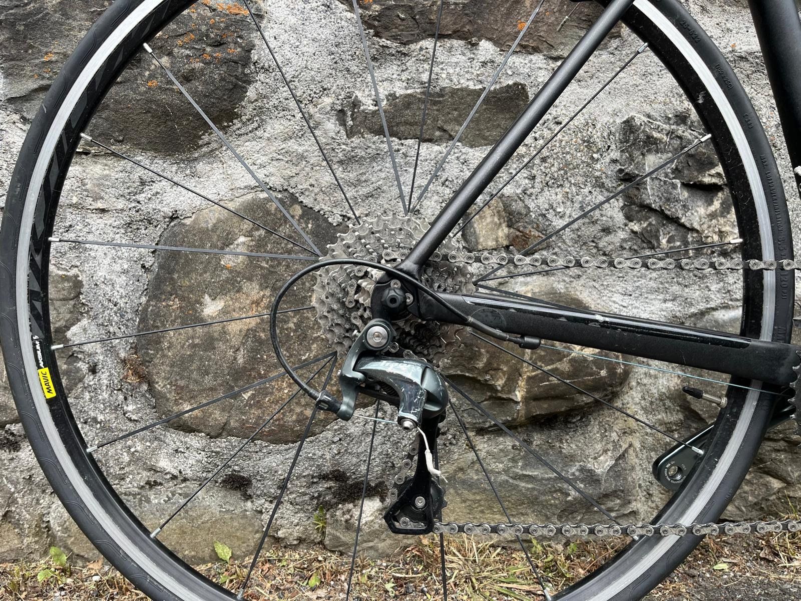Canyon Biciclette: Rennrad Canyon Endurace AllRoad R34 – Usato da Klosters venduto da sch_r7kr 4