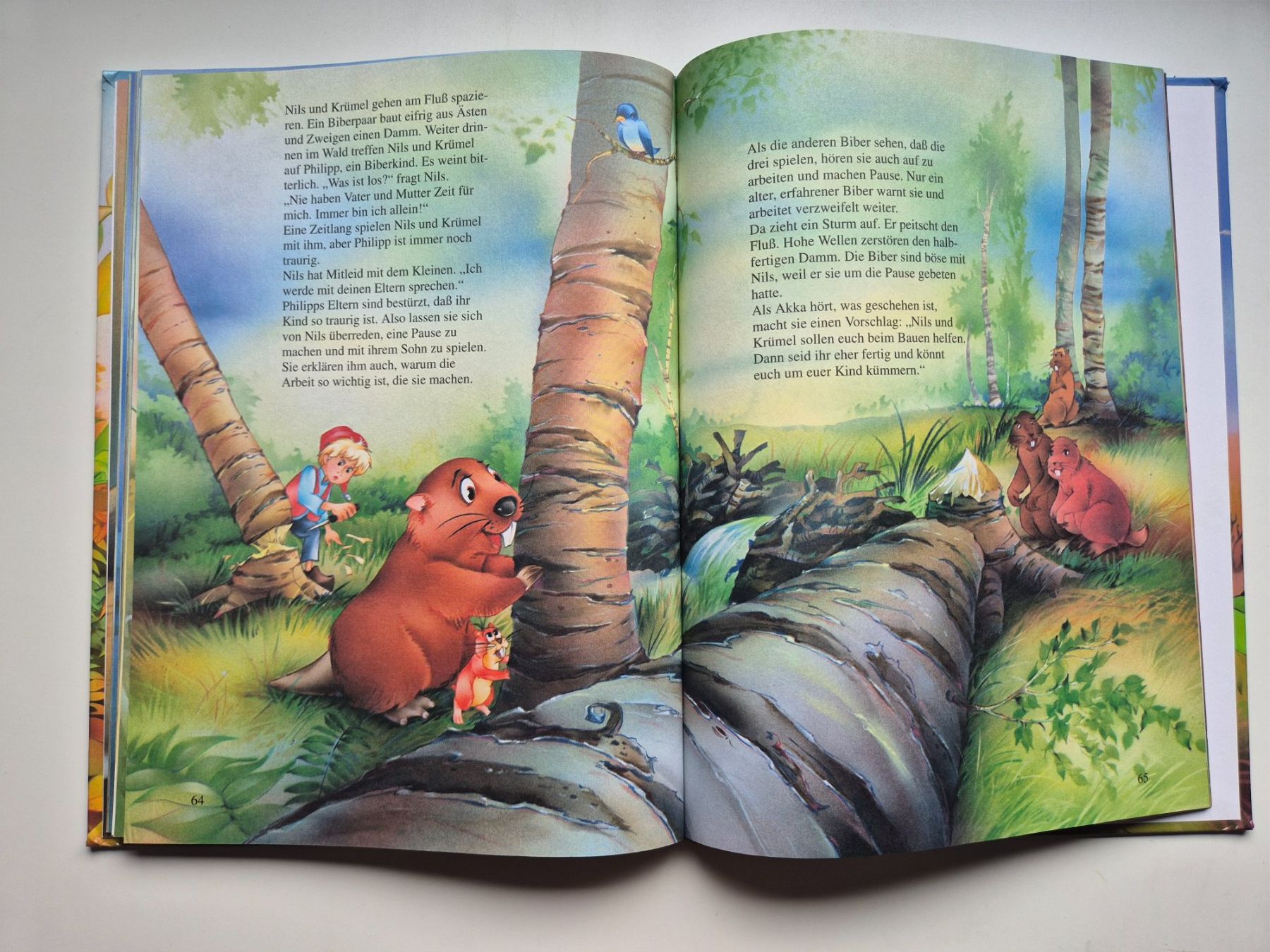 Libri: Nils Holgersson      Bilder - Geschichtenbuch   1994 – Usato da Niederweningen venduto da Obson 5