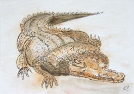 Zeichnung: Krokodil
