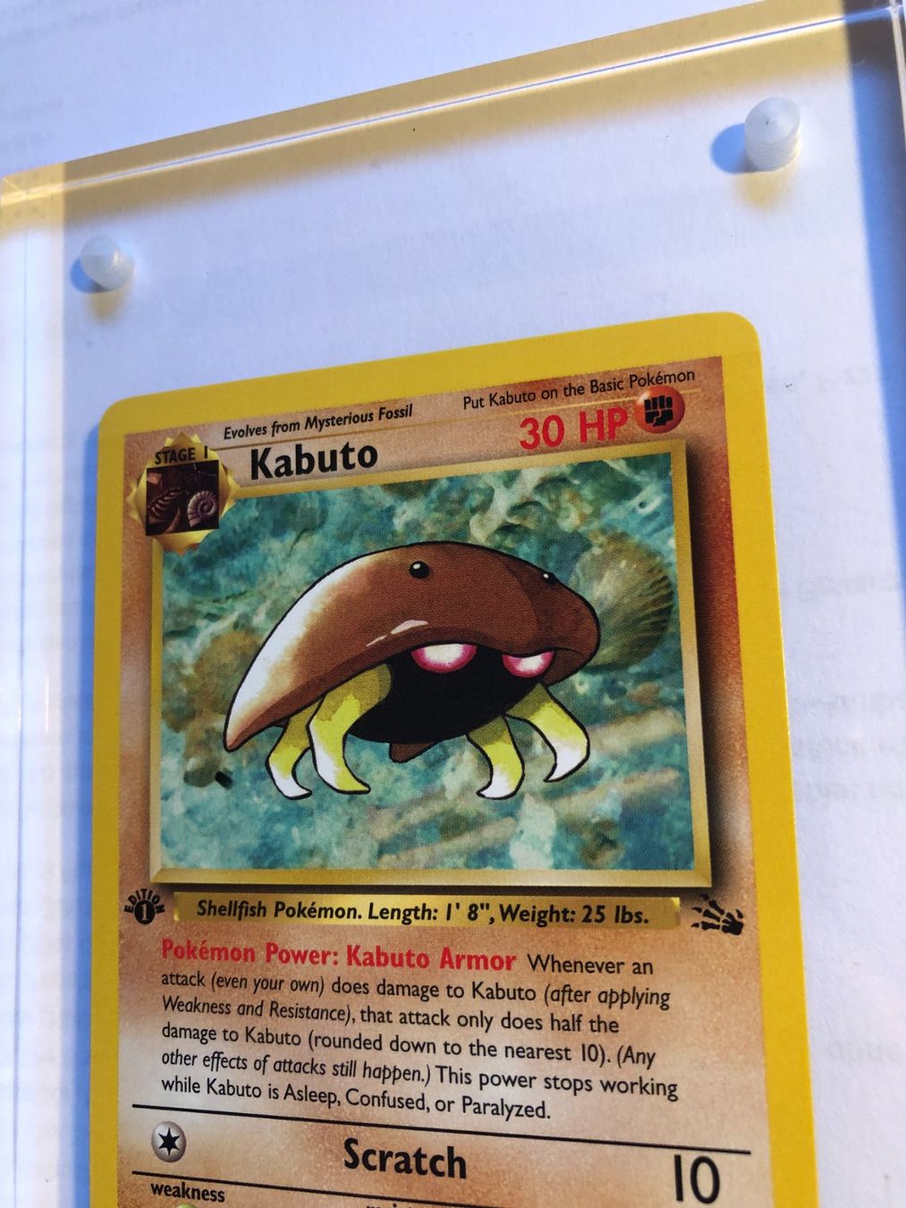Cartes à collectionner: Kabuto 1st Fossil - MINT - ab 1.- – D'occasion à Giubiasco par dan_pr8b 3