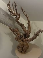 Dekorative, naturbelassene Wurzelholz-Skulptur, Unikat