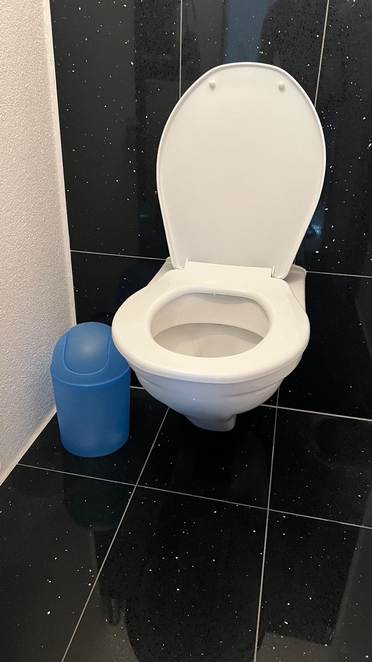 Laufen WC: Laufen Wand WC – D'occasion à Schaanwald FL par G60_Power 3