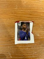 Panini Cola Camavinga