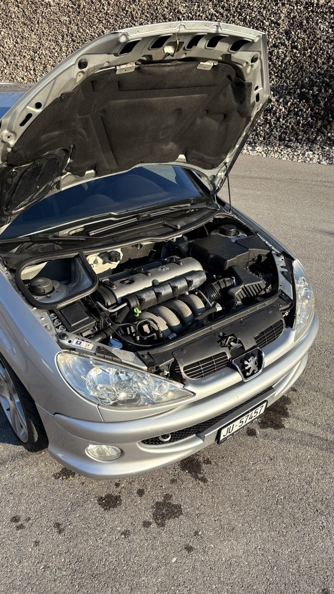 Peugeot Automobili: 206 RC 177 – Usato da Moutier venduto da Saxoseizesoupapes 4
