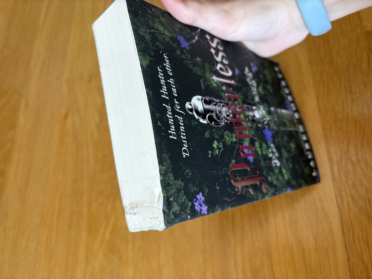 Libri: Lauren Roberts - Powerless ENGLISCH – Usato da Basel venduto da mon_7pfq 6