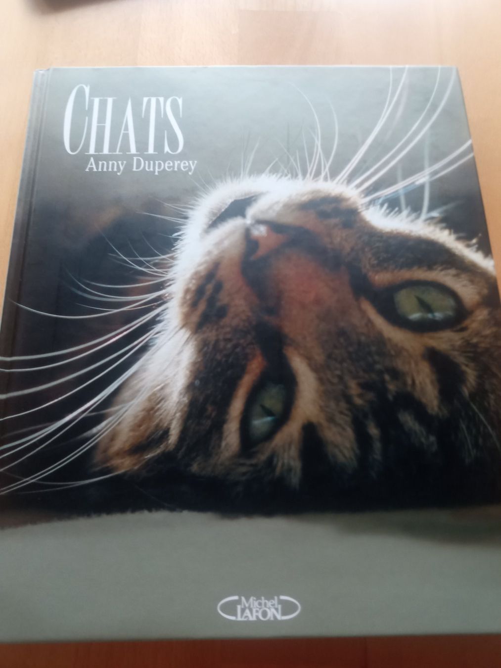 Libri: Anny Duperey CHATS – Usato da Biel/Bienne venduto da Ganesh12
