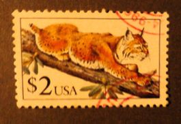 USA 1990 Freimarke Tiere