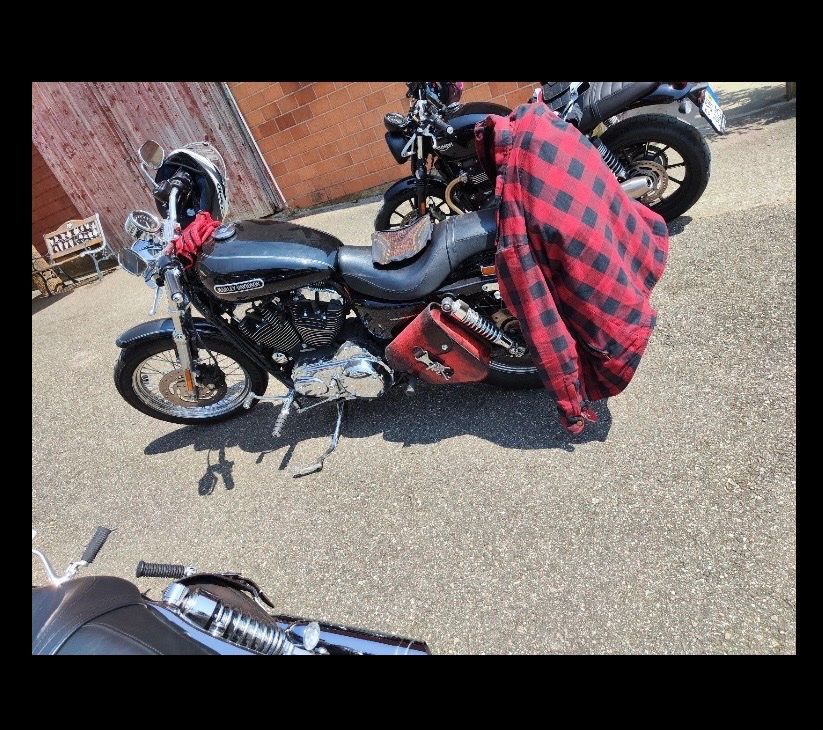 Borse: Ledertaschen / Seitentaschen Harley – Usato da Ramsen venduto da sve_62tt 2