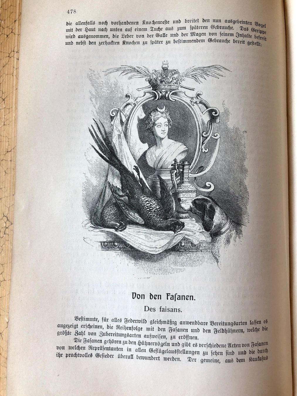 Bücher: Rottenhöfer Kochbuch, 1905 – Gebraucht aus Burgdorf von Attalos 5