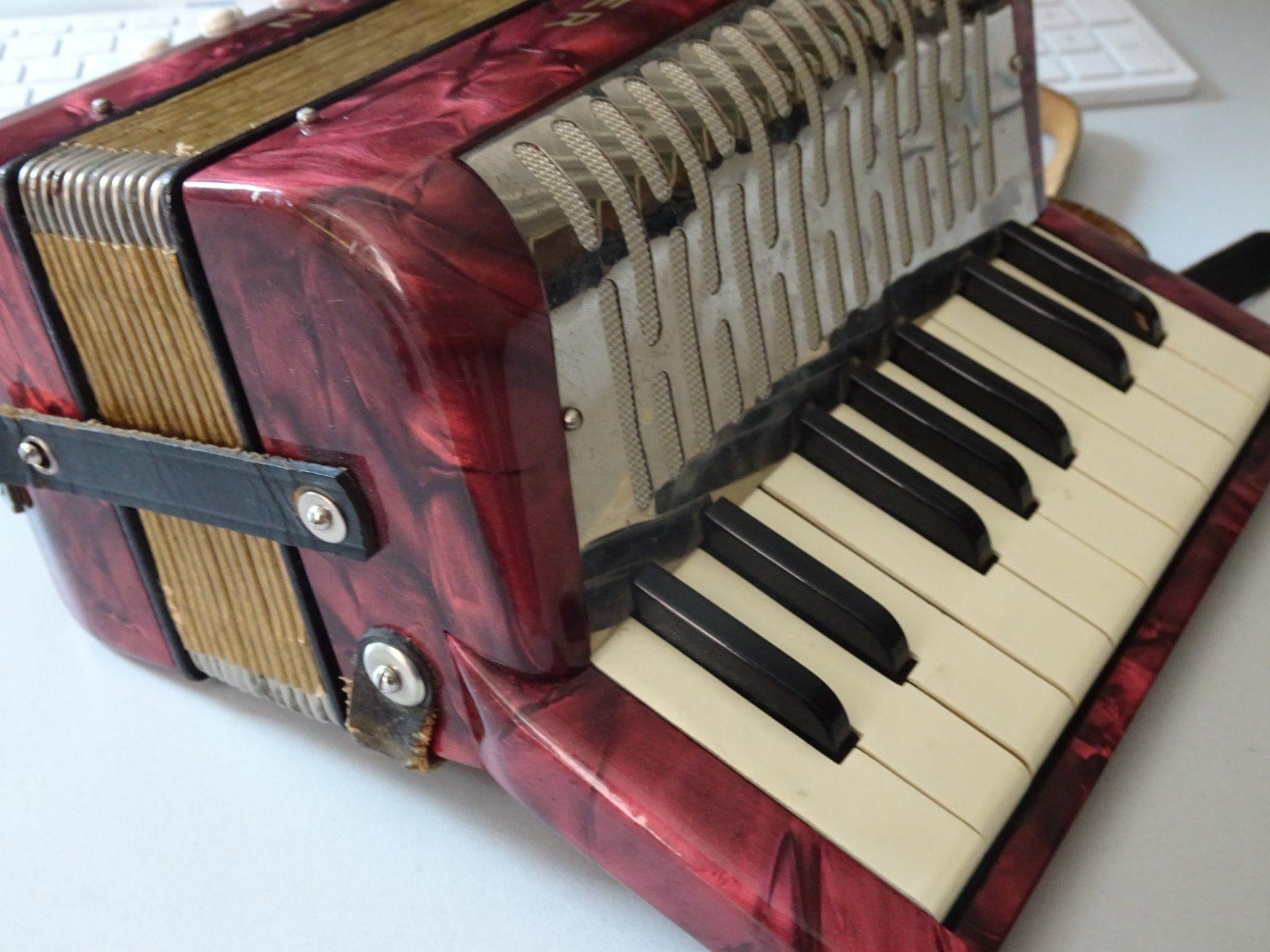 Strumenti musicali: Hohner Mignon Akkordeon Mini Handorgel Harmonika Tasten – Usato da Goldswil b. Interlaken venduto da troedlermarkt-goldsw 2