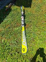 SL Speedwall Racetiger - Völkl (SKI)