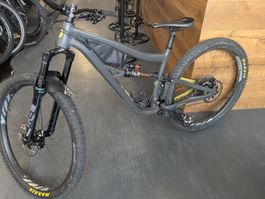 Ibis Ripley AF 2023