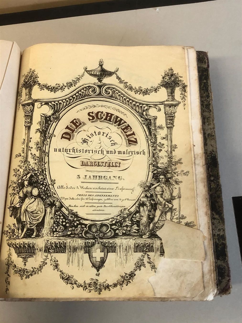 Libri: ** Schweiz historisch naturhistorisch ** – Antico da Bern venduto da Jwpm66 1
