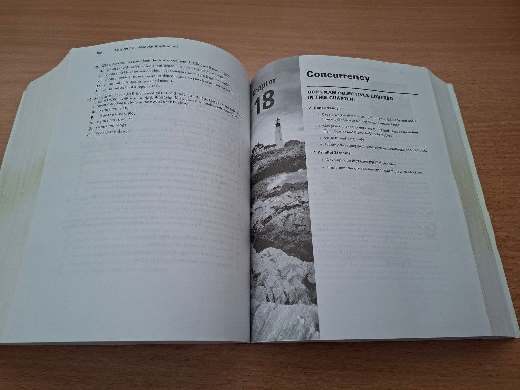 Libri: Selikoff/Boyarsky: OCP Java SE 11 Developer (exam 1Z0-817) – Usato da Goldau venduto da feh_2qvj 4