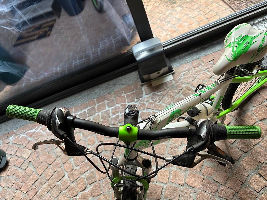 Biciclette: Mountain bike – Usato da Bissone venduto da gio_8zmy 1