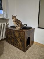 Katzenhaus / Katzenklo