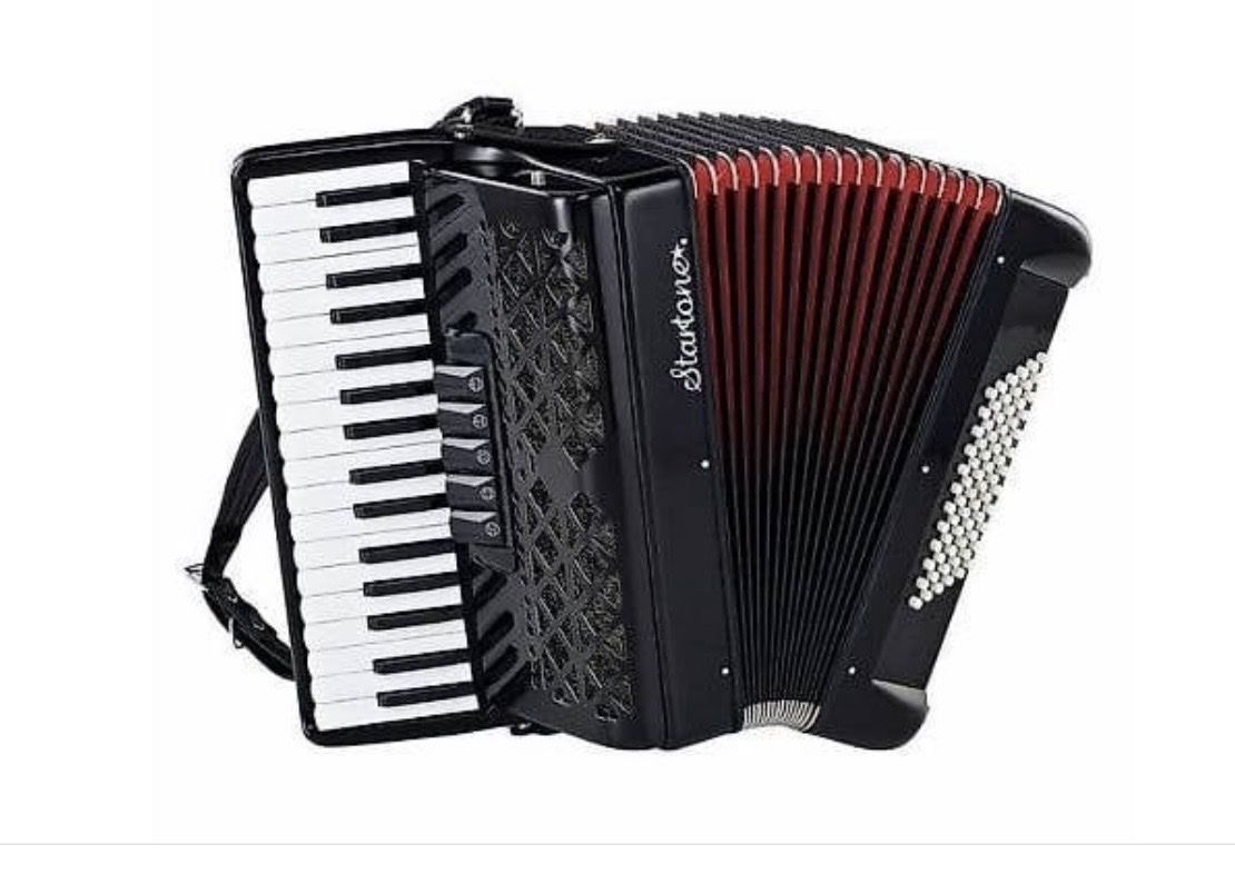 Strumenti musicali: Startone Piano Akkordeon – Usato da Donat venduto da troja007 1