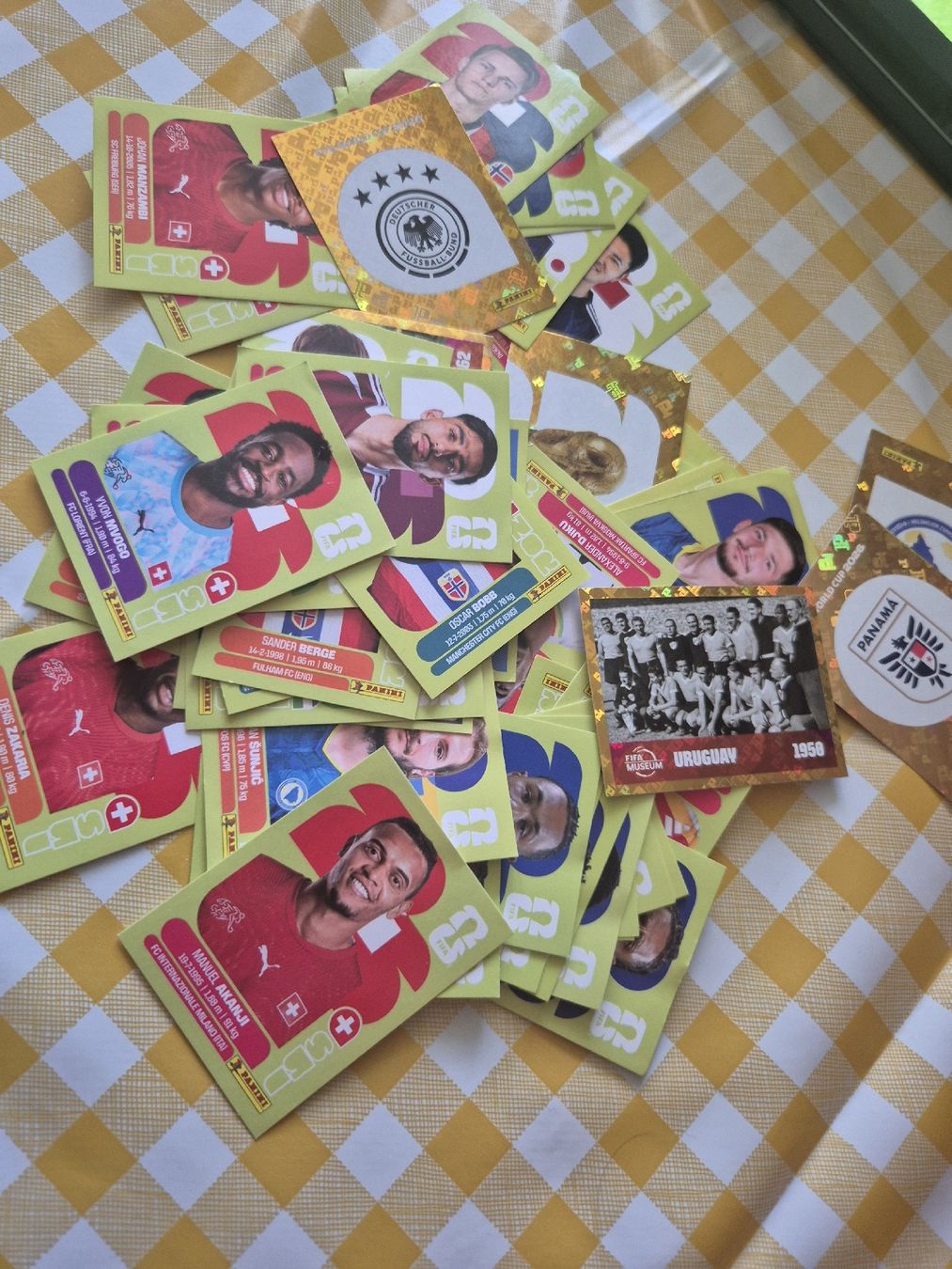 Panini Carte collezionabili: PANINI WM 2026 | FEHLENDE STICKER – Usato da Altendorf venduto da WEBERINHO