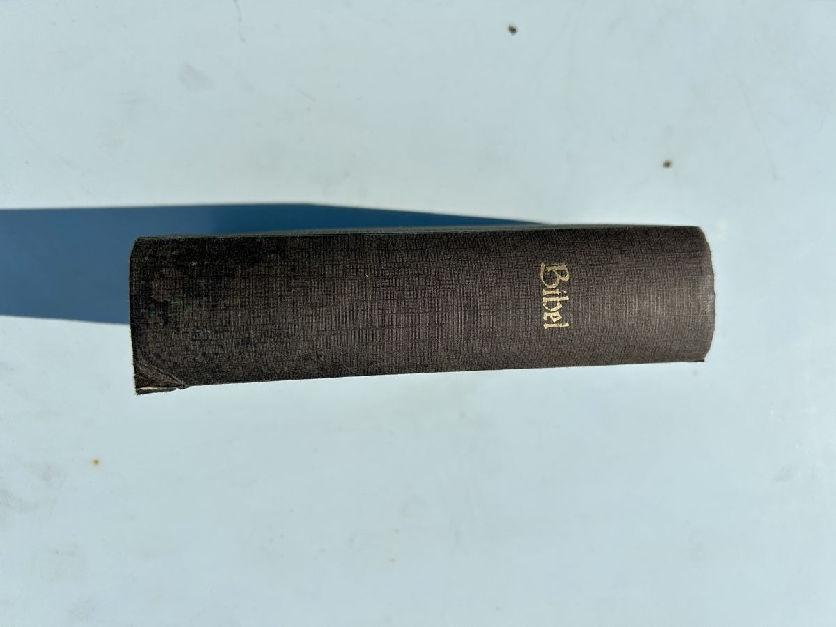 Bücher: Alte, zwinglianische Bibel, ca. 1890 – Gebraucht aus Zürich von Mary8044 1