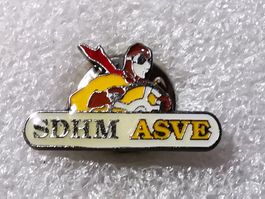Ansteckpin 42: SDHM ASVE