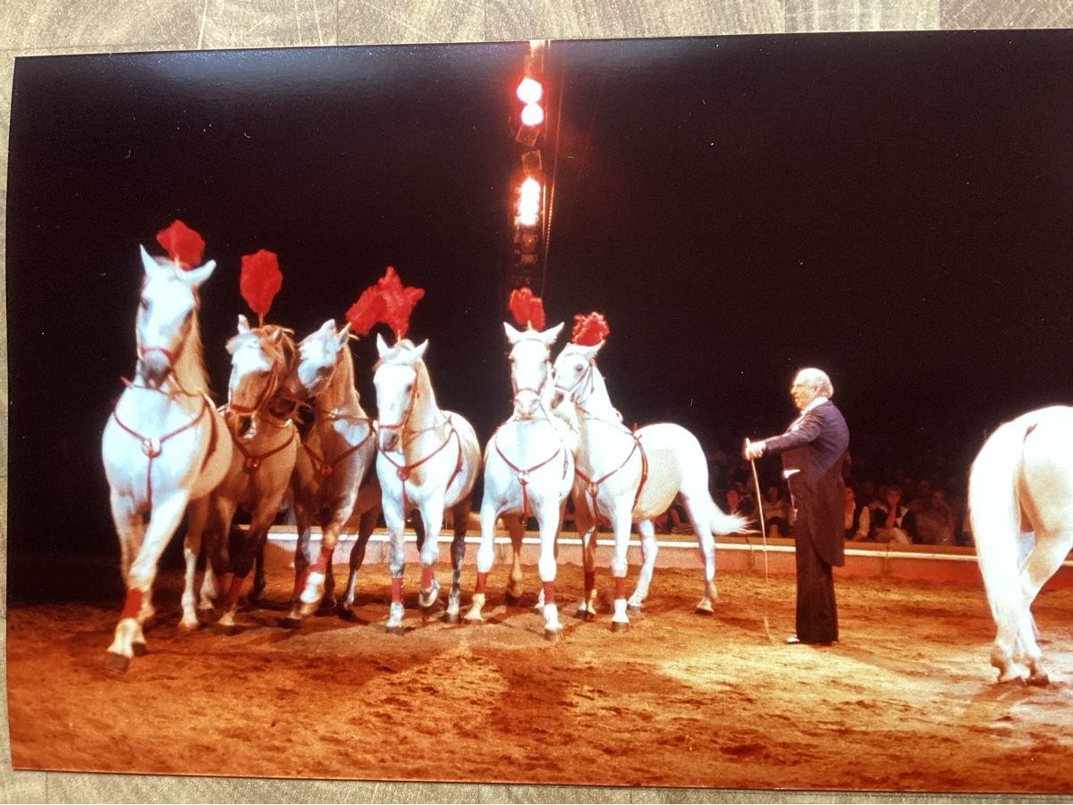 Foto & Immagini: Circus Knie Foto 1983 – Usato da Reichenbach i. K. venduto da astra2010