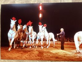 Circus Knie Foto 1983