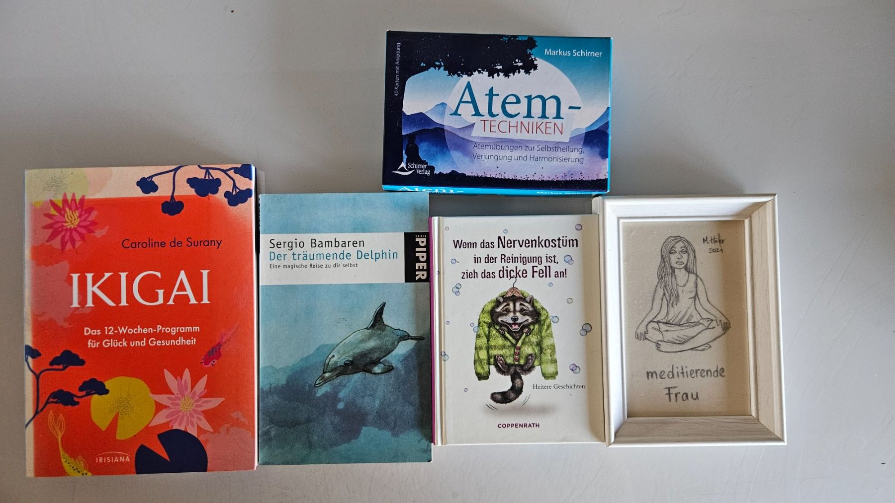 Libri: Thema Selbstfindung Kombo – Usato da Basel venduto da True_Hofer_Store