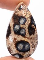 Cabochon L-1996 – Viper Jaspis 31X18X5mm - 19,5 Ct.