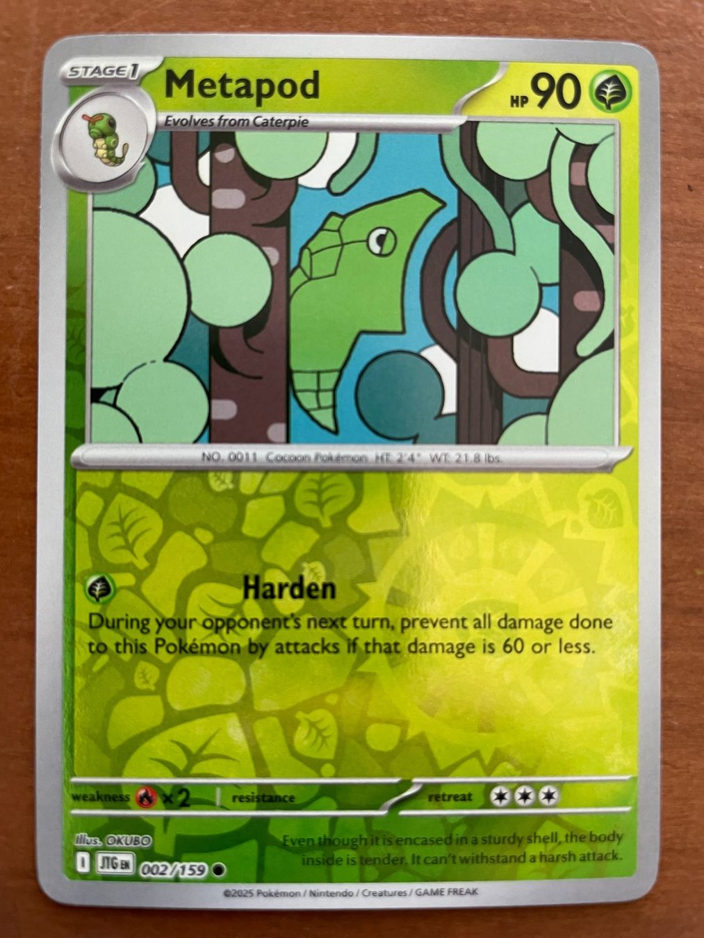 Pokémon Carte collezionabili: Pokemon Metapod Reverse (Versand gratis) – Nuovo (secondo la descrizione) da Chur venduto da Angerson