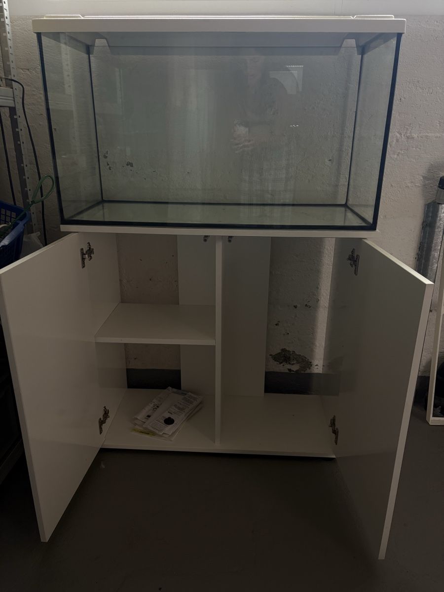 Acquari: Aquarium mit Zubehör – Usato da Ersigen venduto da mob_pc6d 3