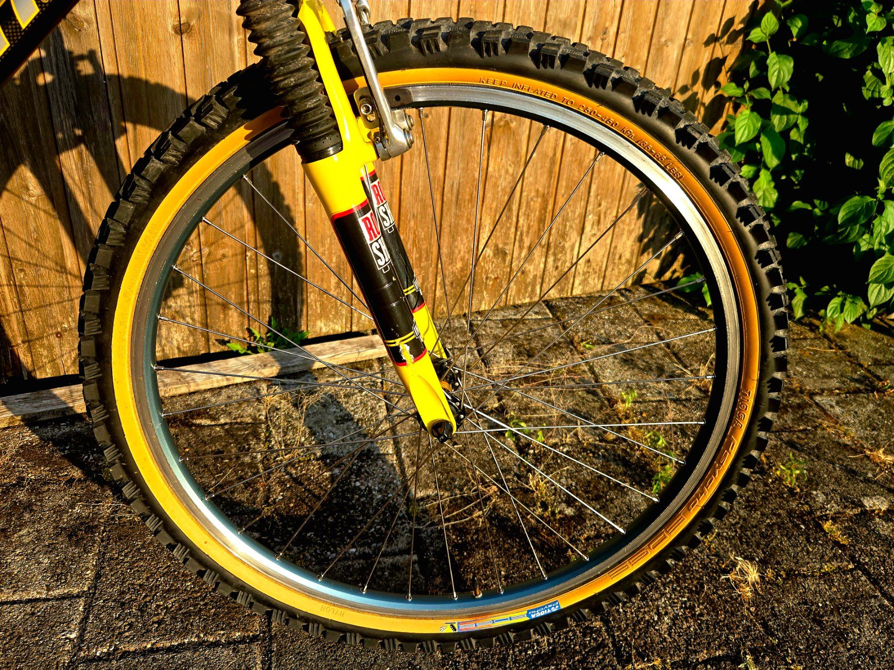 Giant Biciclette: GIANT MCM carbon MTB Retro Kult Bike – Usato da Ammerswil AG venduto da Undenheim 1
