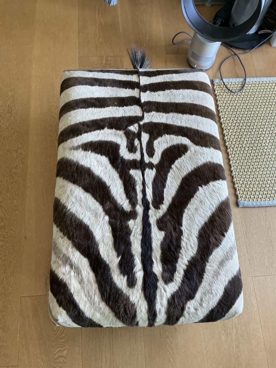 Sgabelli: Zebrafell original Hocker – Usato da Wetzikon ZH venduto da Uturn4 1