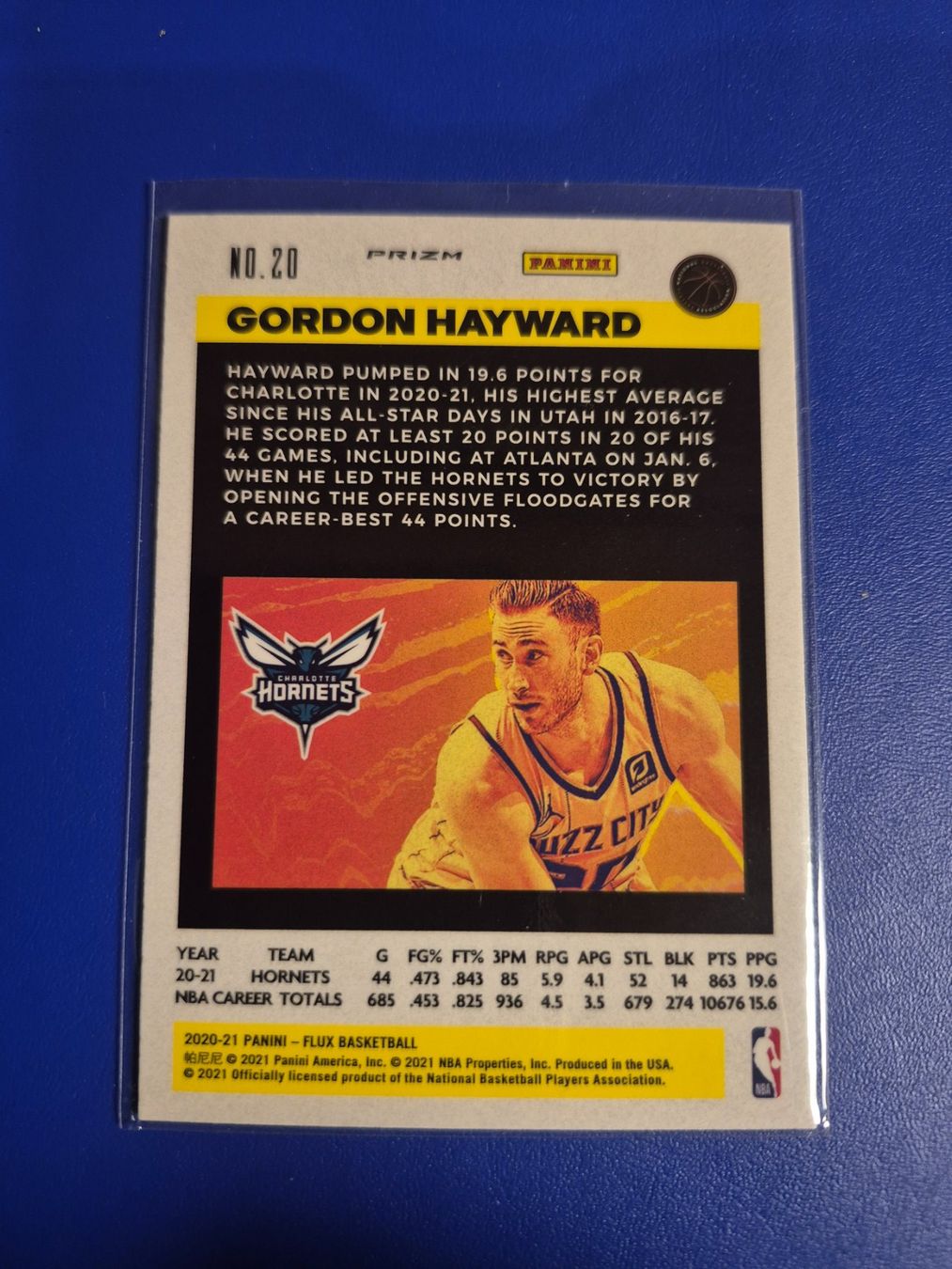 Panini Carte collezionabili: NBA Gordon Hayward Charlotte Hornets – Usato da Treiten venduto da Sauber73 1