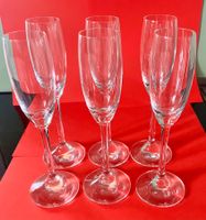 6 Lisa Mori Grappa - / Schnaps - Gläser