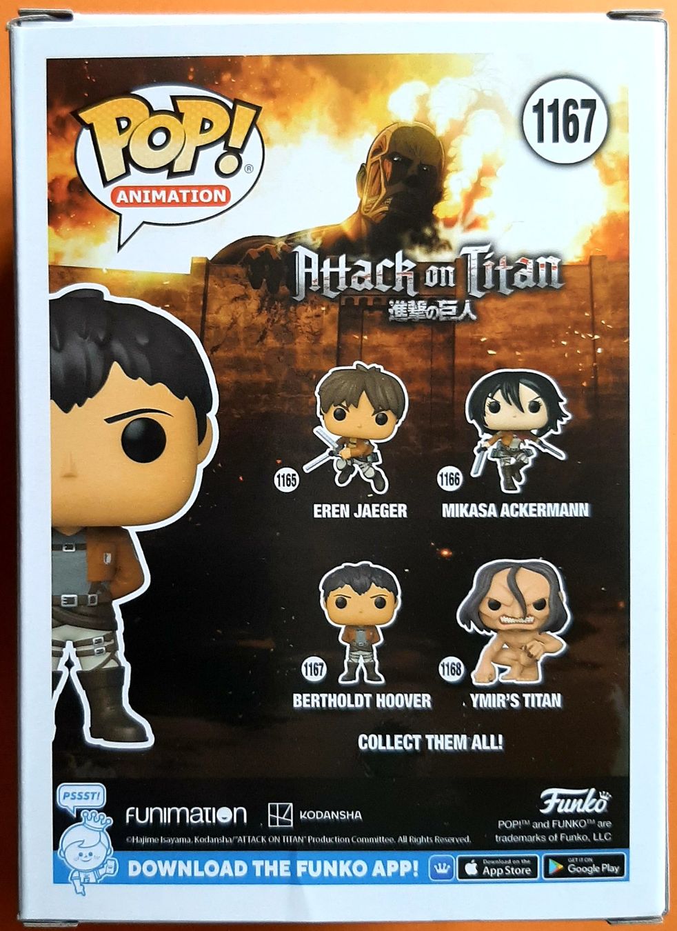 Funko Statuette: Funko Pop Attack On Titan  Bertholdt Hoover – Nuovo e nell'imballaggio originale da Montet (Glâne) venduto da KOADA 1