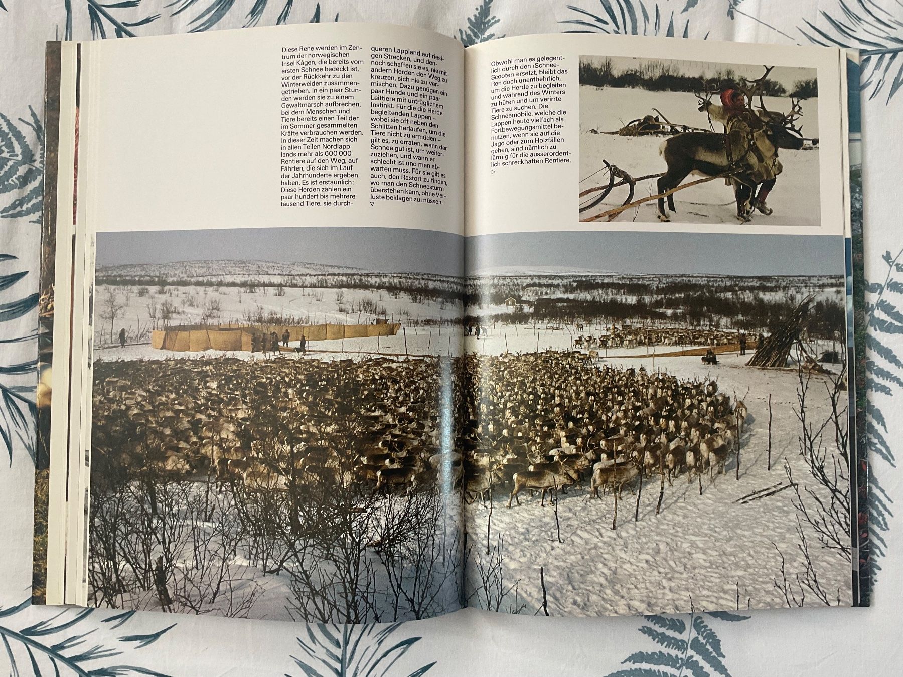 Libri: Silva Buch Lappland – Usato da Zürich venduto da Tolima194 2